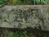 image of grave number 479562